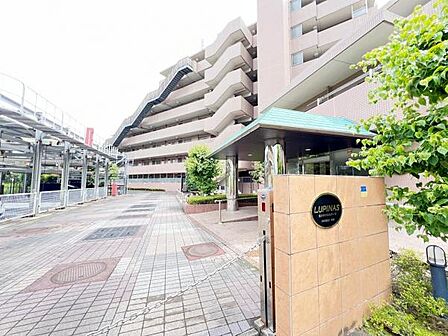 ぜひ現地をご覧くださいませ。