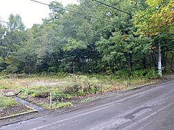 物件画像 北軽井沢 土地