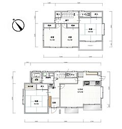 FelidiaReno名取市高舘吉田前沖(No.1053)