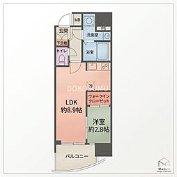 セレニテ福島アリア 3階/-