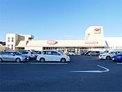 FOOD OFFストッカー田尻店（2216m）