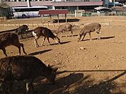 茂呂山公園 1070m