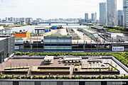 レインボーブリッジを臨む屋上菜園