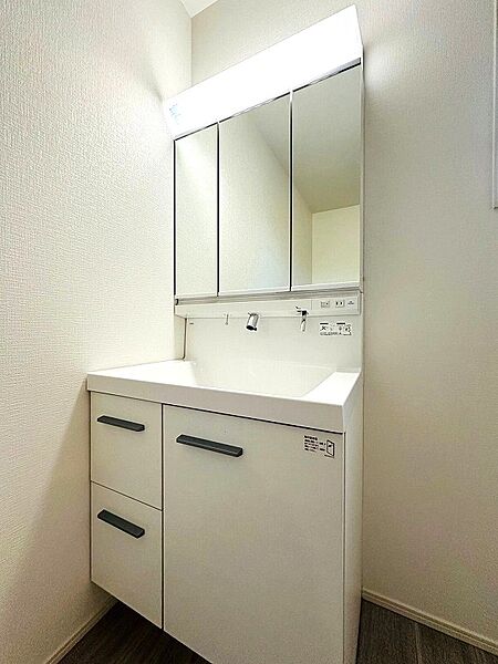 洗面を拡大表示