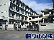 勝原小学校