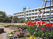 田原小学校
