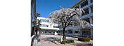 荒川小学校