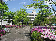 加東市