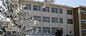 網干小学校