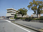 社中学校