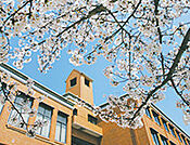 関西国際大学