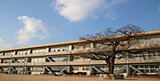 斑鳩小学校