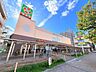 周辺：ライフ須磨鷹取店 500m