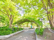 周辺環境-公園(550m)明花公園
