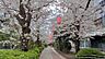 周辺：亀戸緑道公園 公園が身近にあり、四季折々の自然を感じながら暮らせる住環境です。お子様の遊び場や散歩コースとしても利用でき、家族みんなに嬉しい立地です。 2440m