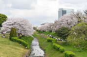 相模三川公園（396m）