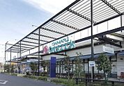 ピーコックストア 藤沢トレアージュ白旗店（725m）