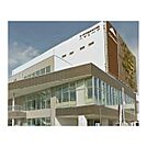 茅ヶ崎市役所ハマミーナ出張所（1127m）