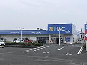 ハックドラッグ寒川店（667m）