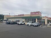 スーパー 850m カスミ中高津店