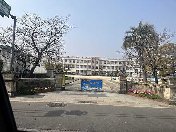 周辺を拡大表示