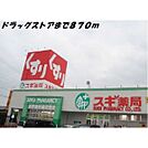 スギ薬局