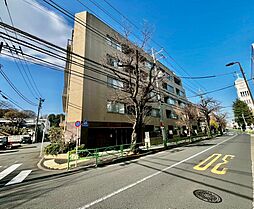 物件画像 サンフル碑文谷碑さくら通りNORTH SIDE