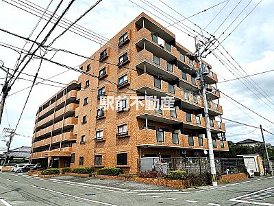 外観:外観 外観:外観