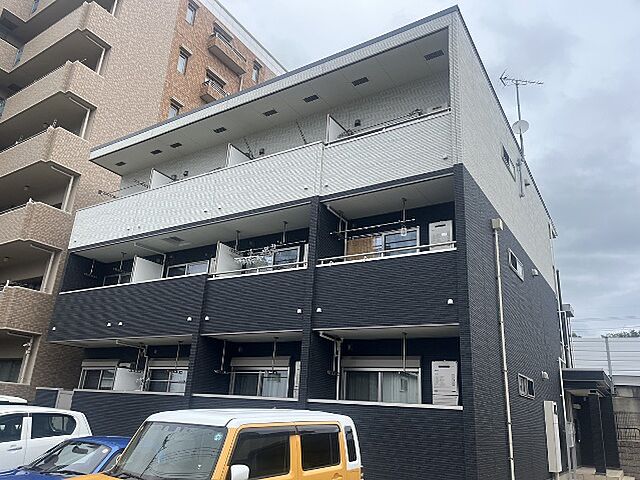 2 / 19