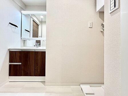 使いやすい三面鏡付のシャワー水栓の洗面台。収納力もあるので、日用品をストックするにも便利です！