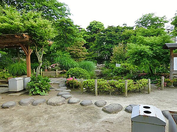 周辺を拡大表示