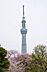 周辺：春には屈指の桜の名所となり、夏には隅田川花火大会が行われます。公園内の庭園は水戸徳川邸内の池等、遺構を利用して造られています。墨田区屈指の公園です。