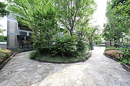 メインアプローチ