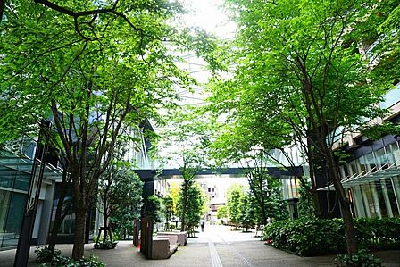 エントランスアプローチ