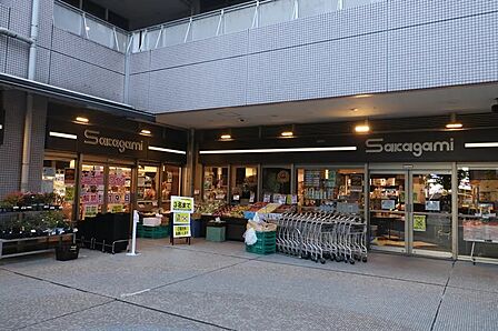 スーパーサカガミ グランルパ豊洲店まで約400m 徒歩5分