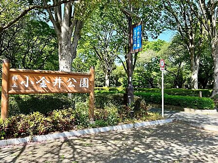 都立小金井公園まで約1260m 徒歩16分
