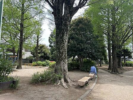 高井戸西公園まで約290ｍ　徒歩4分