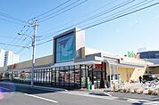 ヨークマート 厚木インター店（1153m）