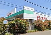 コメリハード＆グリーン平塚真田店（113m）