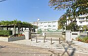 伊勢原市立伊勢原小学校（534m）