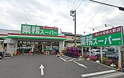業務スーパー海老名中央店（1325m）