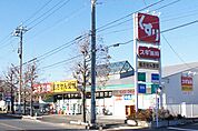 スギドラッグ 厚木愛甲店（245m）