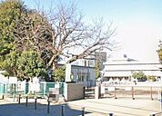 相模原市立鶴園小学校（181m）