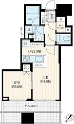 キャピタルゲートプレイスザ・タワー 1LDKの間取図画像