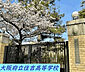 周辺：高校「大阪府立住吉高校まで757m」