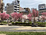 周辺：公園「中大江公園まで348m」