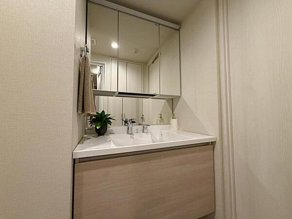 洗面を拡大表示