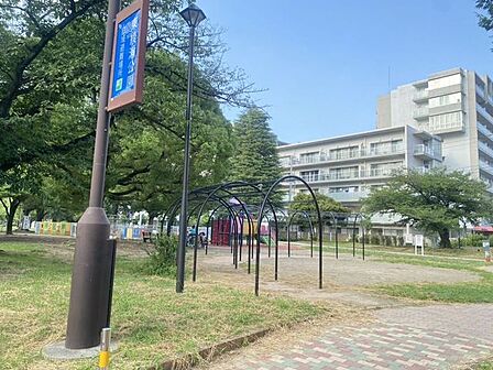 東綾瀬公園 わくわく広場 410m