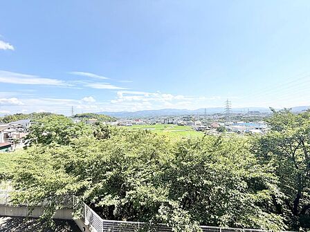現地(2026年7月)撮影
