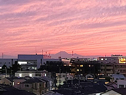 多摩川ハイホーム